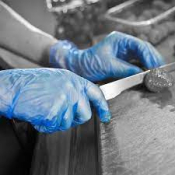 Vinyl Gloves - Powder Free - Blue - X-Large - (Gd13)